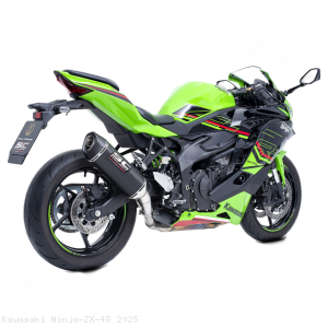  Kawasaki / Ninja ZX-4R / 2025