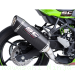  Kawasaki / Ninja ZX-4R / 2025