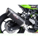  Kawasaki / Ninja ZX-4RR / 2024