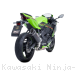  Kawasaki / Ninja ZX-4RR / 2024