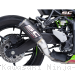  Kawasaki / Ninja ZX-4RR / 2025