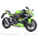  Kawasaki / Ninja ZX-4RR / 2024